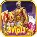 Svip13